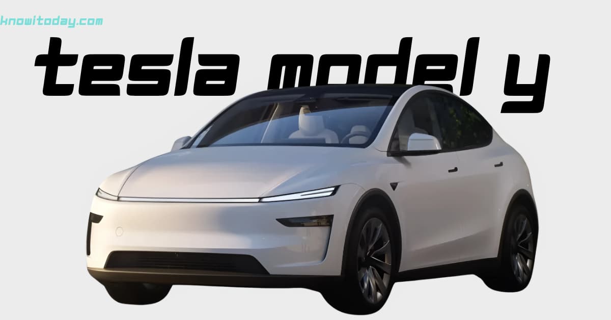 Tesla Model Y India Launch
